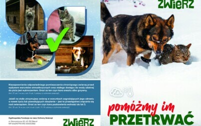 Zdjęcie do Mazowsze dla zwierząt zimą