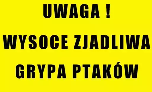 Zdjęcie artykułu z dnia 23-04-2025