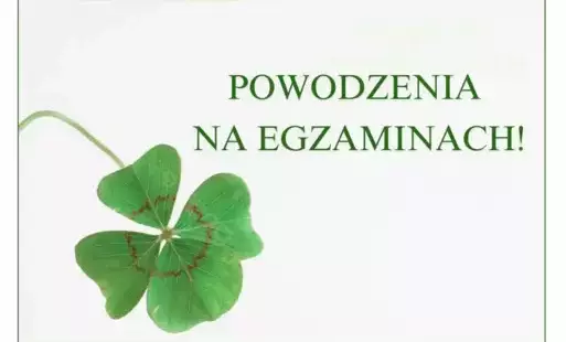Zdjęcie artykułu z dnia 15-05-2025