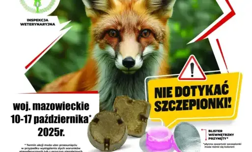 Zdjęcie artykułu z dnia 01-10-2025
