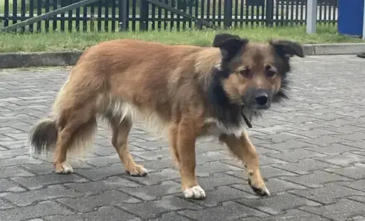 Zdjęcie artykułu z dnia 04-11-2025