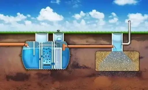 Zdjęcie artykułu z dnia 14-11-2025