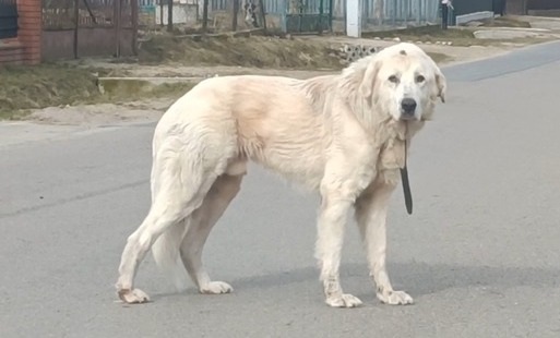 Zdjęcie artykułu z dnia 25-03-2026