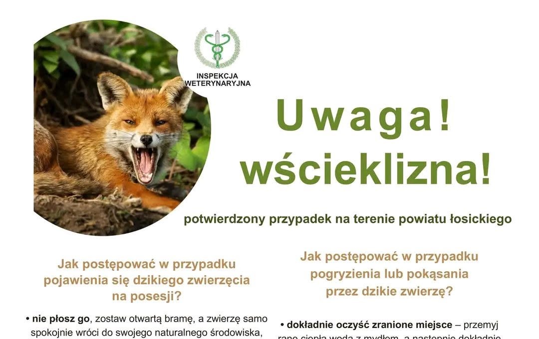 Szczep pupila to tylko chwila